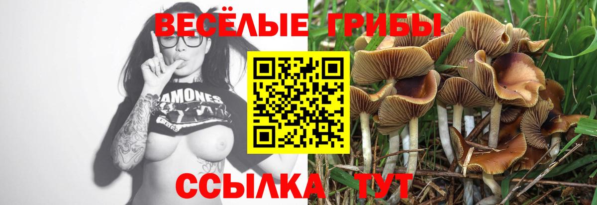 Галлюциногенные грибы Psilocybe  Вход с VPN  Нарьян-Мар  где можно купить наркотик  Галлюциногенные грибы MAGIC MUSHROOMS 